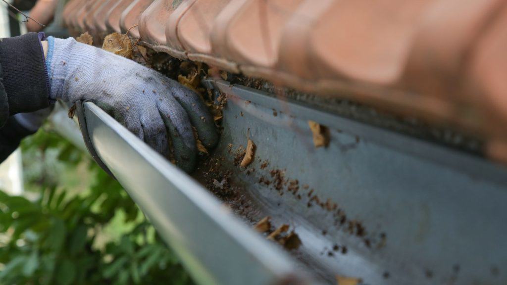 Why You Need To Clean Your Gutters